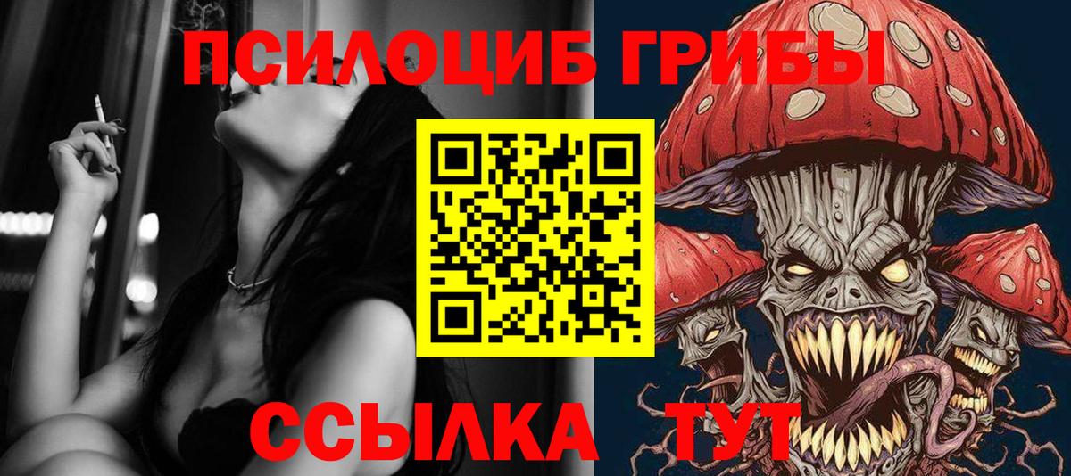 Алексин  Галлюциногенные грибы Psilocybine cubensis  Вход с VPN  Галлюциногенные грибы Psilocybe 