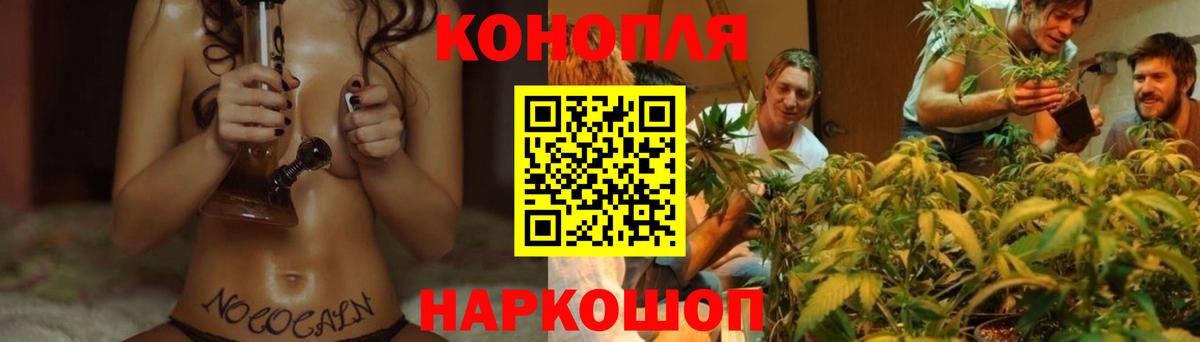 Канабис OG Kush  Шишки марихуана индика  Алексин  Вход с VPN 